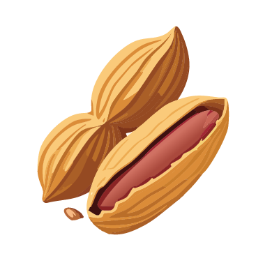Peanut