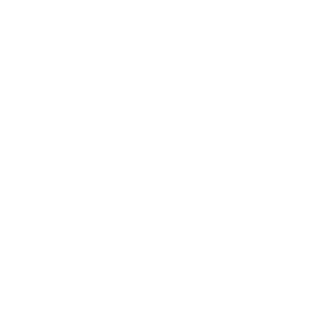 Experienced Team